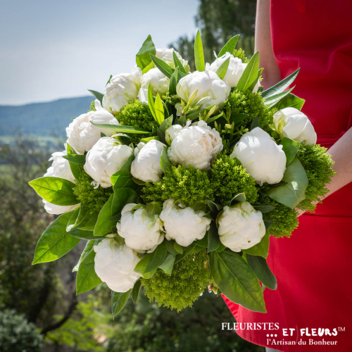 Divines Pivoines