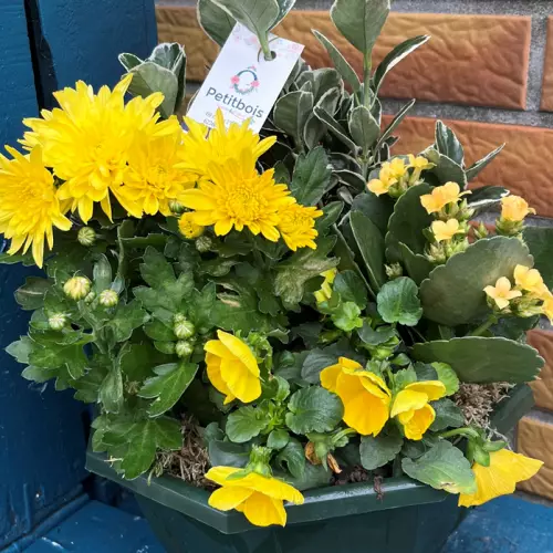 Coupe de plantes dans les tons jaunes
