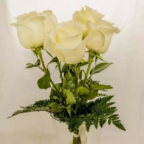 Bouquet de roses blanches