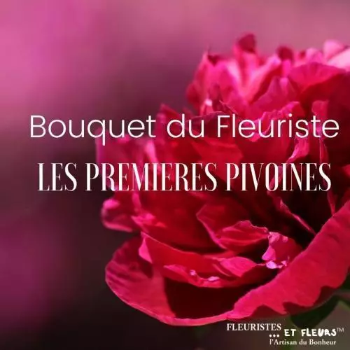 Bouquet du Fleuriste pivoines 2022