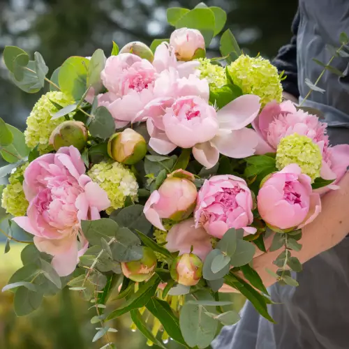 pivoines