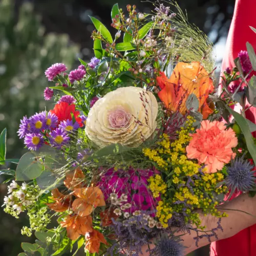 Les Fleurs D'o Lys