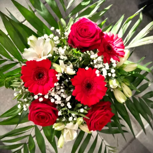 FRISSON AMOUREUX