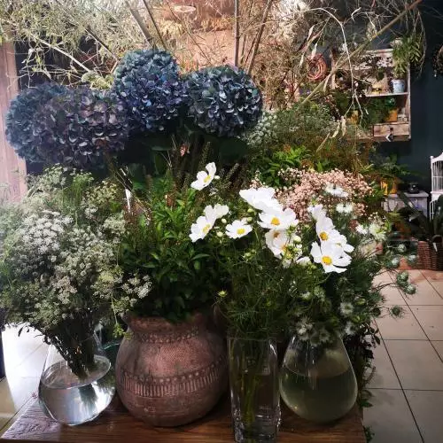 NOS FLEURS DE SAISON