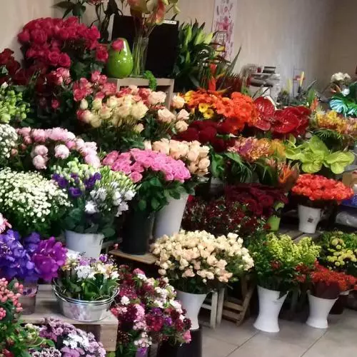 Nos fleurs en boutique