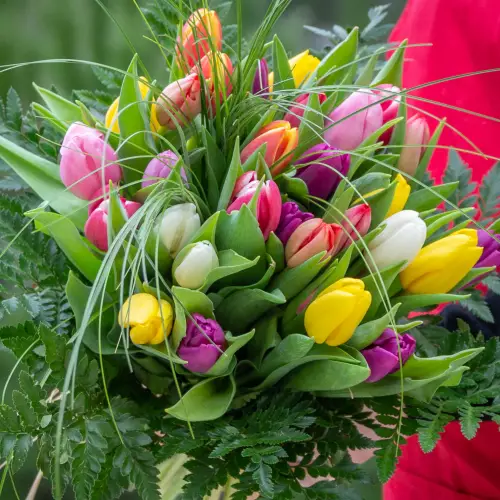 Bouquet du mois : Les Tulipes