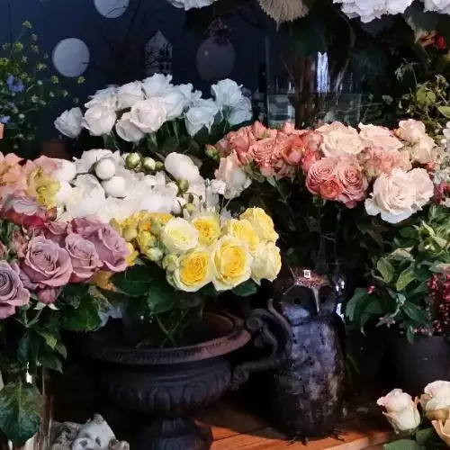 IDENTITÉ DE LA BOUTIQUE