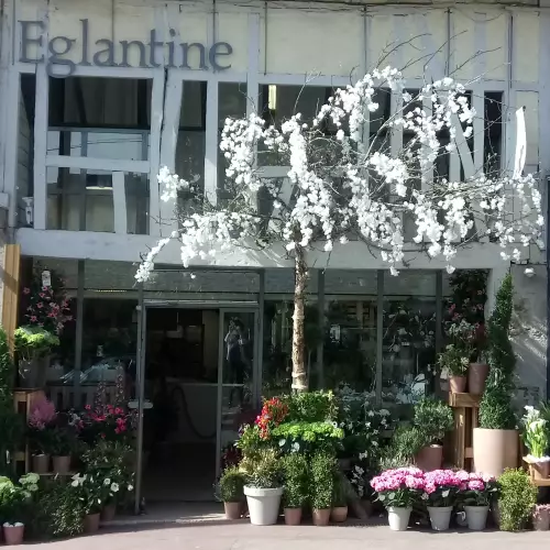 Eglantine