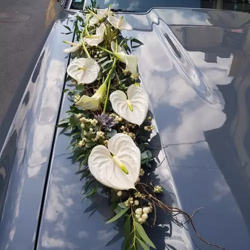 capot de voiture