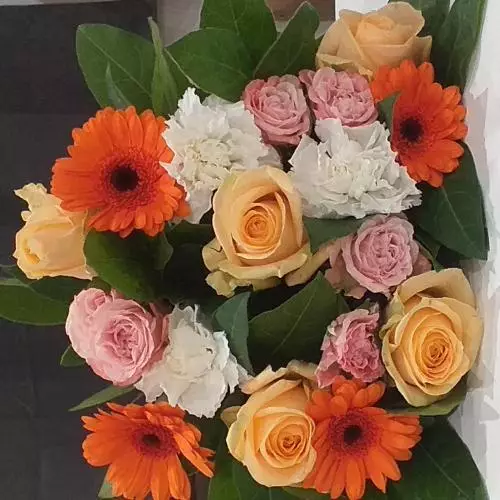 EN COULEUR