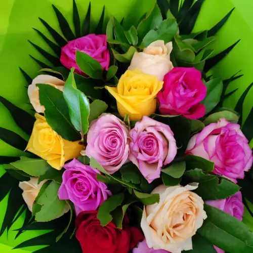 Bouquet de roses multicolore  37 €