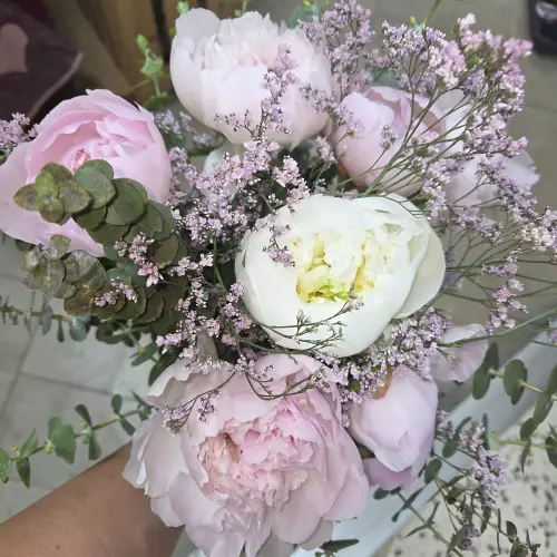 Pivoines Provence